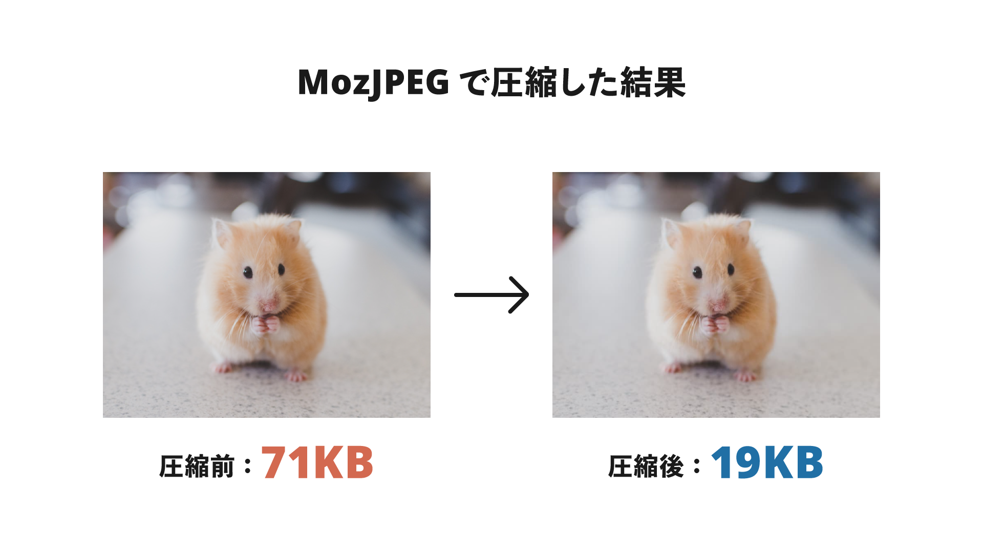 MozJPEGで圧縮した結果、圧縮前が71KBだったのに対し圧縮後は19KBになった